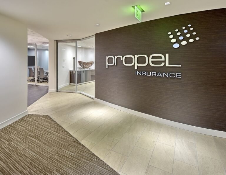 Propel Company Hiring For Software Developer