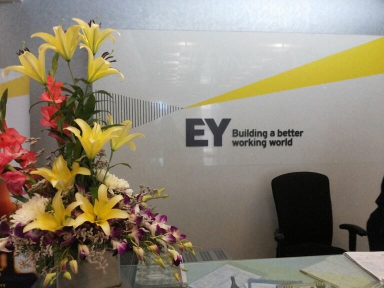 EY  Company Hiring For Intern